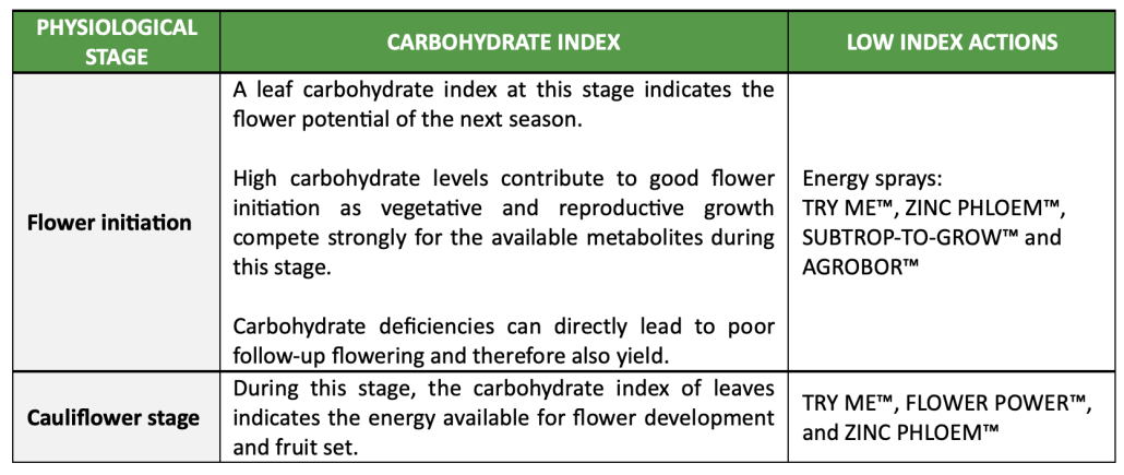 Carbohydrate 