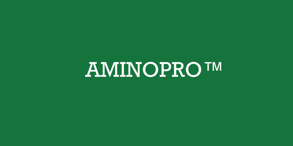 AMINOPRO