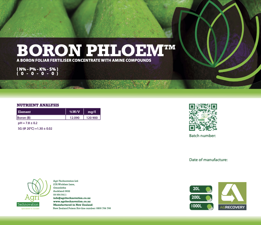 Boron Phloem