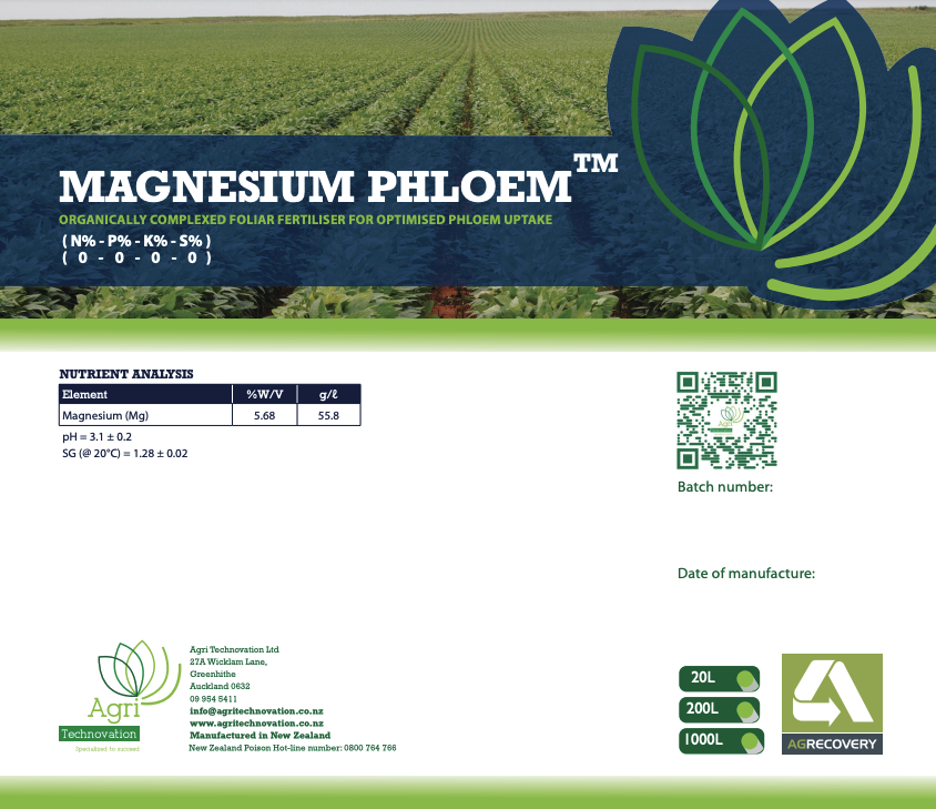 Magnesium Phloem